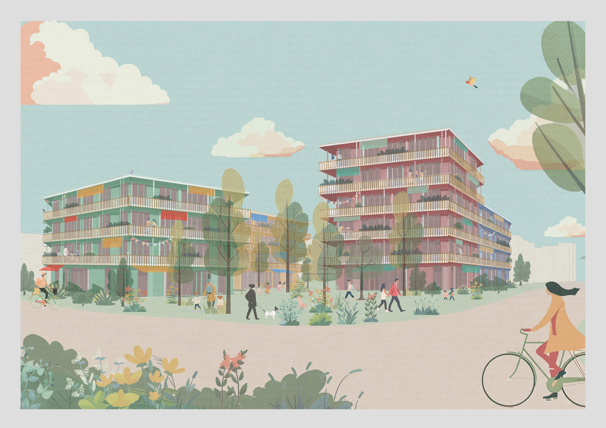 GKS Architekten AG - Studienauftrag Arealentwicklung Bächliwis - Bachenbülach - 2024