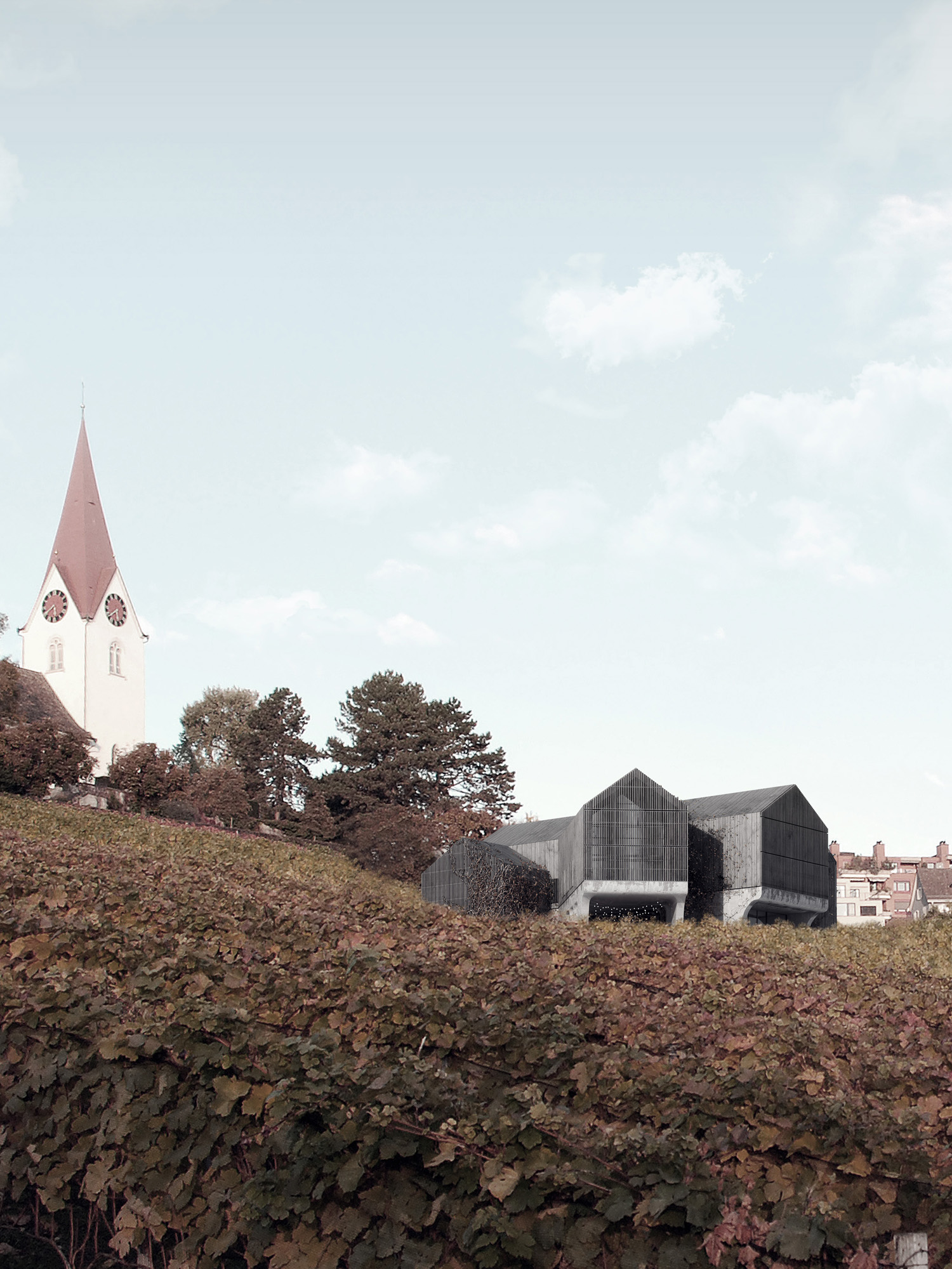 Anh Patrick Tran - ETH Semesterarbeit Rebhaus Chillesteig - Zürich - 2015